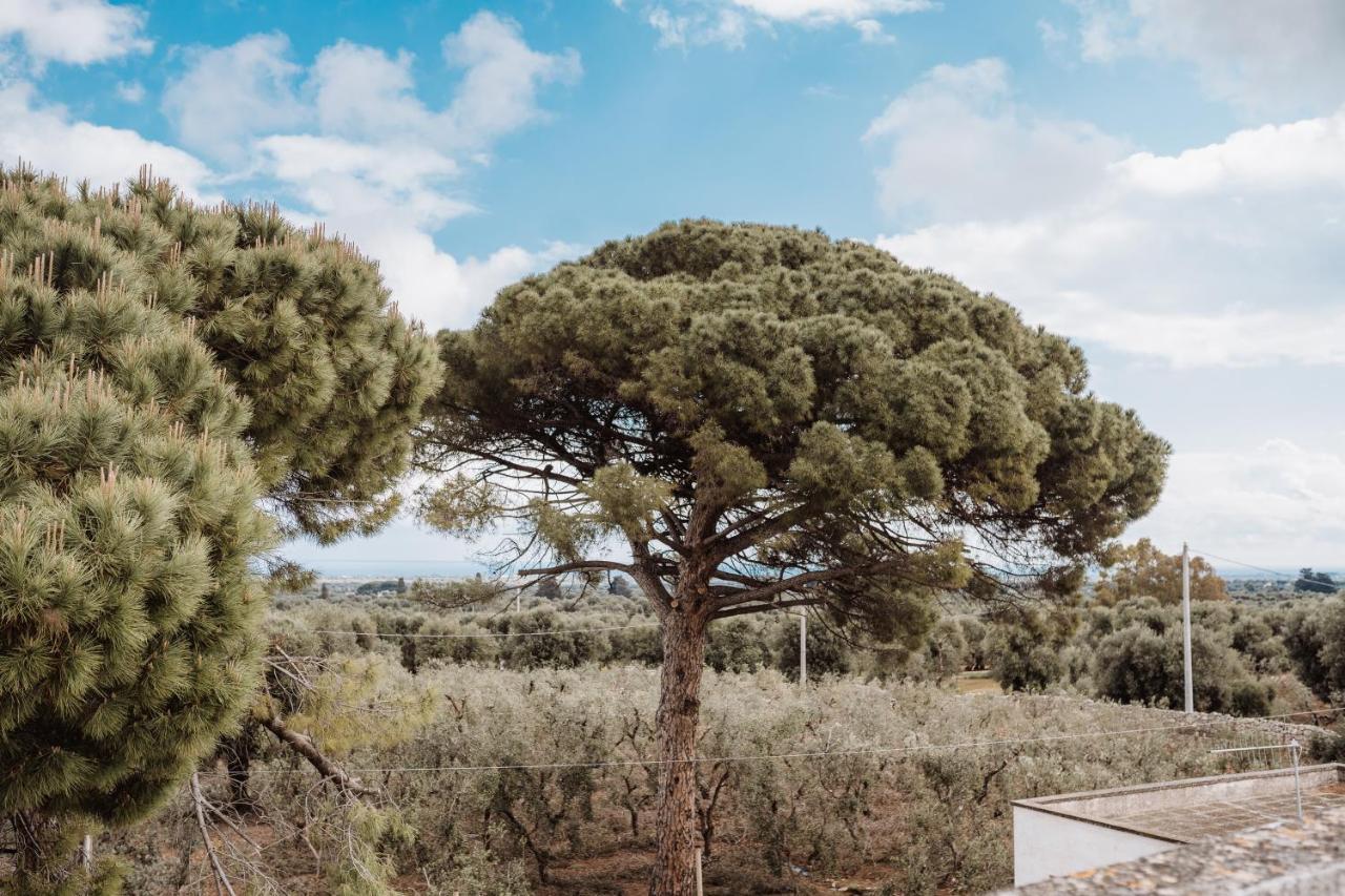 Villa Masseria Casamassima Agriturismo à Ostuni Extérieur photo