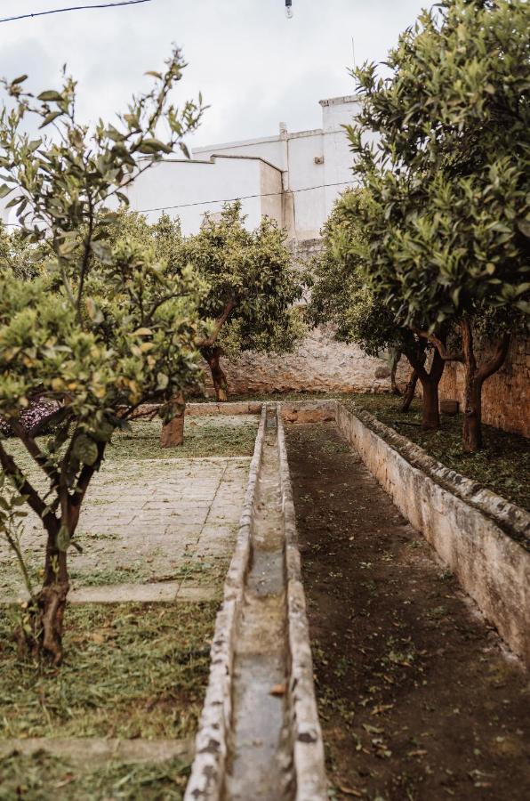 Villa Masseria Casamassima Agriturismo à Ostuni Extérieur photo